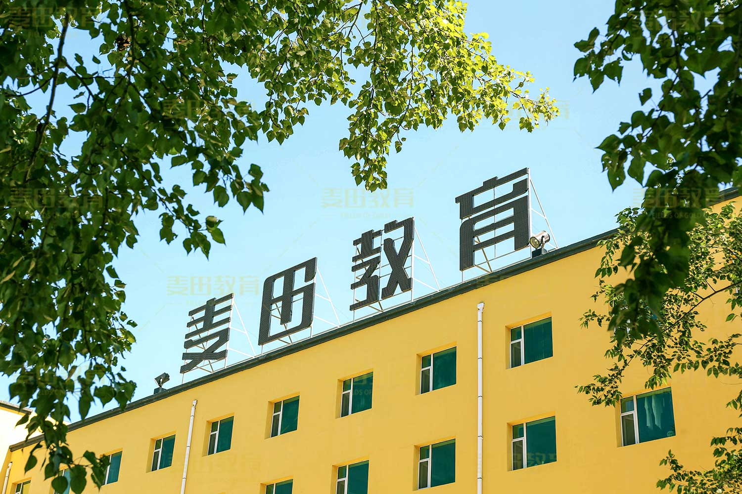 长春艺考生文化课辅导机构/麦田学校小班教学